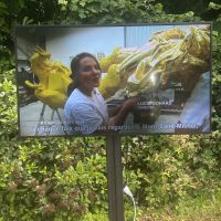 LG 55 pouces ecran plein jour