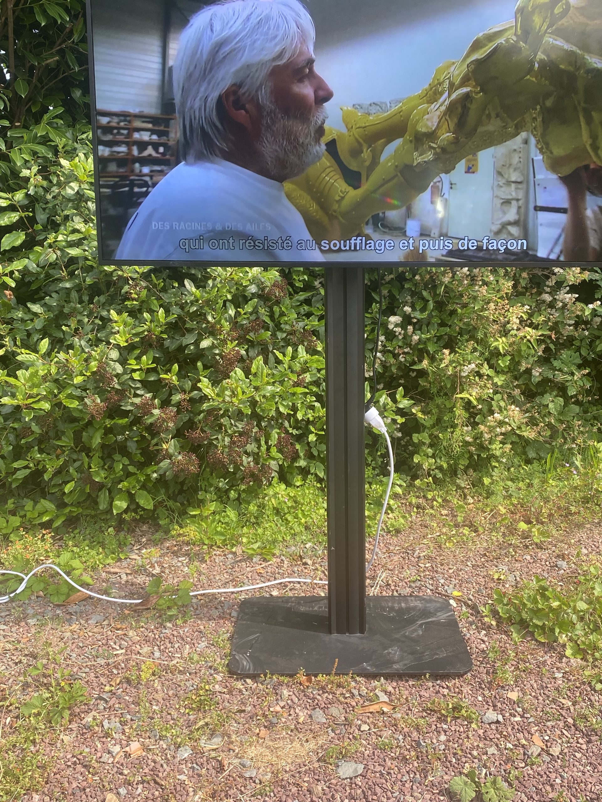 LG 55 pouces ecran plein jour